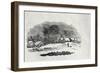 Endpiece, Late 18th or Early 19th Century-Thomas Bewick-Framed Giclee Print