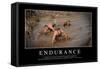 Endurance: Citation Et Affiche D'Inspiration Et Motivation-null-Framed Stretched Canvas