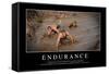 Endurance: Citation Et Affiche D'Inspiration Et Motivation-null-Framed Stretched Canvas