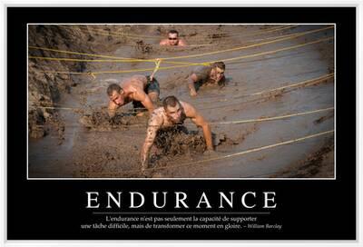 Endurance Citation Et Affiche D Inspiration Et Motivation Photographic Print Allposters Com