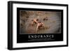 Endurance: Citation Et Affiche D'Inspiration Et Motivation-null-Framed Photographic Print