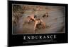 Endurance: Citation Et Affiche D'Inspiration Et Motivation-null-Mounted Photographic Print