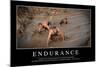 Endurance: Citation Et Affiche D'Inspiration Et Motivation-null-Mounted Photographic Print