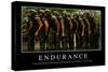 Endurance: Citation Et Affiche D'Inspiration Et Motivation-null-Stretched Canvas