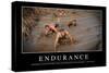Endurance: Inspirational Quote and Motivational Poster-null-Stretched Canvas