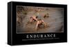 Endurance: Inspirational Quote and Motivational Poster-null-Framed Stretched Canvas