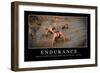 Endurance: Inspirational Quote and Motivational Poster-null-Framed Premium Photographic Print