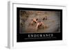 Endurance: Inspirational Quote and Motivational Poster-null-Framed Premium Photographic Print