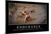 Endurance: Inspirational Quote and Motivational Poster-null-Mounted Premium Photographic Print