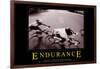 Endurance-null-Framed Art Print