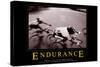 Endurance-null-Stretched Canvas
