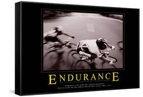 Endurance-null-Framed Stretched Canvas