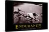 Endurance-null-Stretched Canvas