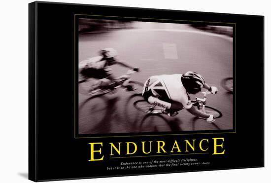 Endurance-null-Framed Stretched Canvas