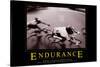 Endurance-null-Stretched Canvas