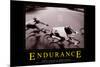 Endurance-null-Mounted Art Print