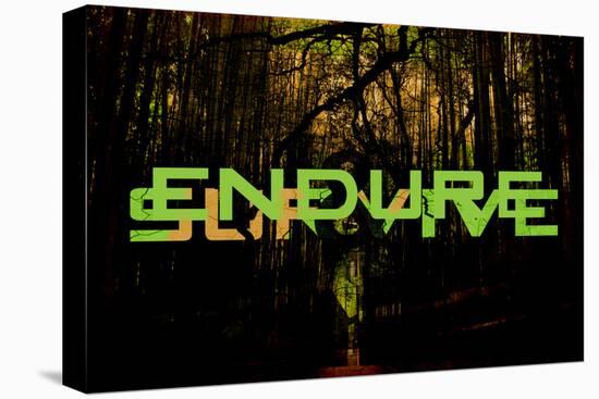 Endure And Survive-null-Stretched Canvas