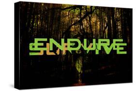 Endure And Survive-null-Stretched Canvas