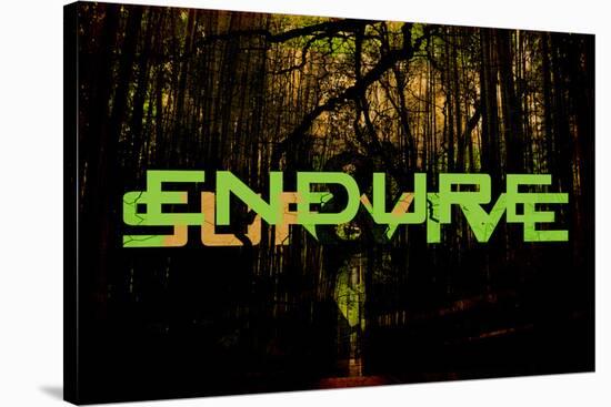 Endure And Survive-null-Stretched Canvas