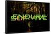 Endure And Survive-null-Framed Poster