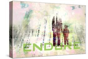 Endure-null-Stretched Canvas