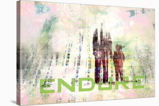 Endure-null-Stretched Canvas