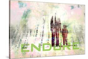 Endure-null-Stretched Canvas