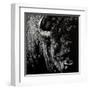 Enduring #3-Julie Chapman-Framed Art Print