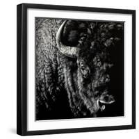 Enduring #3-Julie Chapman-Framed Art Print