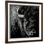 Enduring #3-Julie Chapman-Framed Art Print