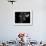 Enduring #4-Julie Chapman-Framed Art Print displayed on a wall