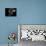 Enduring #4-Julie Chapman-Art Print displayed on a wall