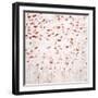 Enduring Fall-Rikki Drotar-Framed Giclee Print