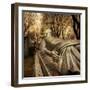 Enduring Love-Irene Suchocki-Framed Photographic Print