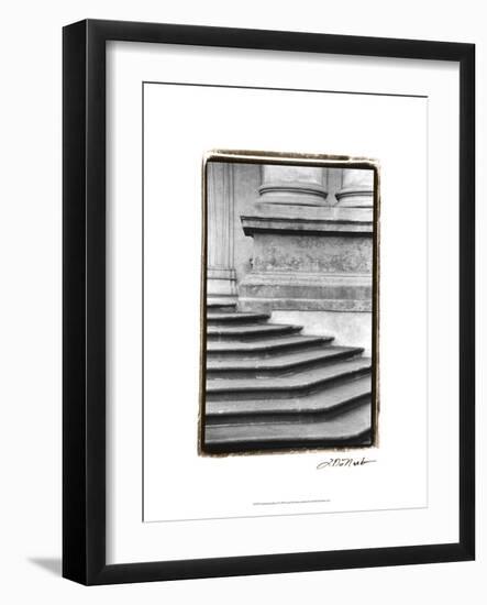 Enduring Qualities I-Laura Denardo-Framed Art Print