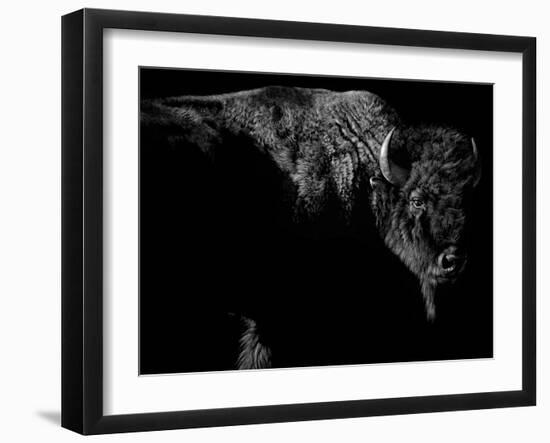 Enduring-Julie Chapman-Framed Art Print