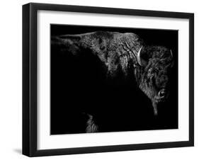 Enduring-Julie Chapman-Framed Art Print