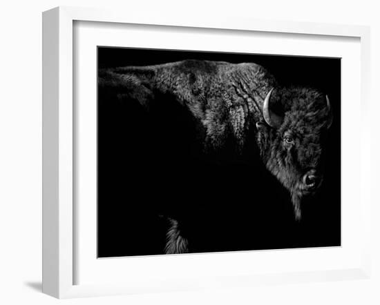 Enduring-Julie Chapman-Framed Art Print