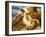 Endymion 'Ah! Well-A-Day, Why Should Our Young Endymion Pine Away'-Keats-Briton Rivière-Framed Giclee Print