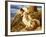 Endymion 'Ah! Well-A-Day, Why Should Our Young Endymion Pine Away'-Keats-Briton Rivière-Framed Giclee Print