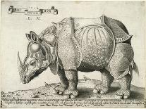 Rhinoceros, 1548-Enea Vico-Stretched Canvas