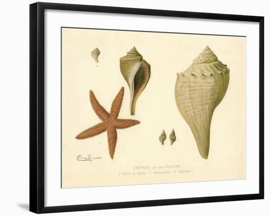 Enemies of the Oyster-null-Framed Giclee Print