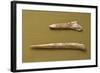 Eneolithic Punches, from Argentina Valley, Italy-null-Framed Giclee Print