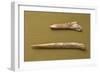 Eneolithic Punches, from Argentina Valley, Italy-null-Framed Giclee Print