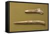 Eneolithic Punches, from Argentina Valley, Italy-null-Framed Stretched Canvas