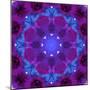 Energetic Mandala Ornament from Flowers-Alaya Gadeh-Mounted Photographic Print