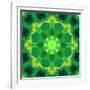 Energetic Mandala Ornament from Flowers-Alaya Gadeh-Framed Photographic Print