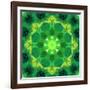 Energetic Mandala Ornament from Flowers-Alaya Gadeh-Framed Photographic Print