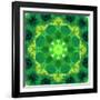 Energetic Mandala Ornament from Flowers-Alaya Gadeh-Framed Photographic Print
