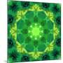 Energetic Mandala Ornament from Flowers-Alaya Gadeh-Mounted Photographic Print